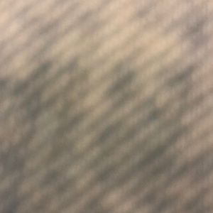 Meet your Posher, Tiger